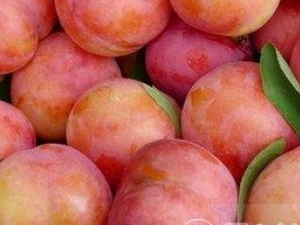 ���ӵ�ʵ������Щ����