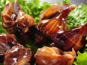 ��֪����ҩ������