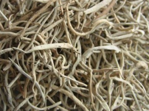 ��ˢ�ѵĹ�Ч������