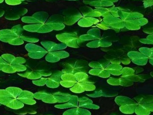 �𻨲˵Ĺ�Ч������