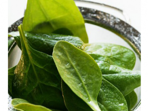 ���� �� ����Ѫ����Ч�����