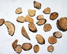 �˽Ƿ� ��ҩ��ȫ