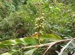 ���ϲ�ޢ ��ҩ��ȫ