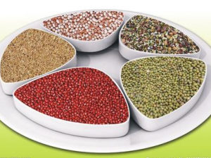 �������������֮��