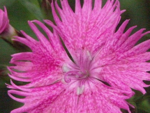 �����Ĺ�Ч������