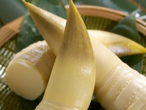 �Դ���Ҫ������ θ������ʳ