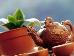 ţ��������ͬʳ�������͸�ʹ�ķ�Ӧ