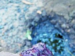 ͩ���Ĺ�Ч������