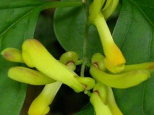 ��ˮ���Ĺ�Ч������