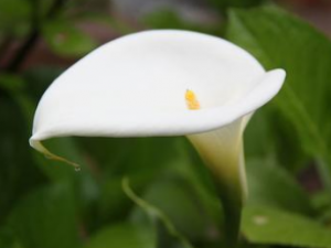 ���� ��ҩ��ȫ