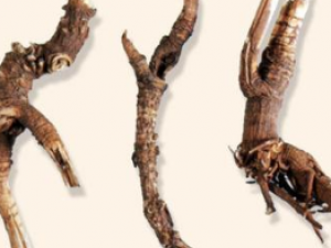 �˲β���������䵭