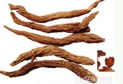 ���� ��ҩ��ȫ