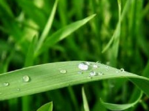 ɬ�ݵĹ�Ч������