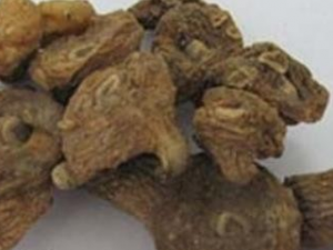 �������Ĺ�Ч������