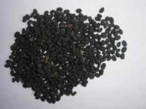 ����֬ ����֬���ٴ�Ӧ��