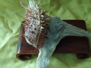 ���õĹ�Ч������ ���õ��÷�����