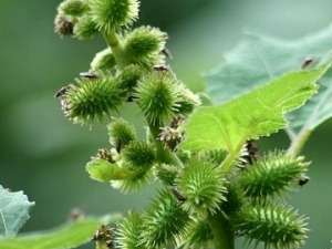 �Զ��Ĺ�Ч������ �Զ�����ζ