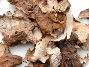 �����ഺ����ƫ�� ��ҽ��������ഺ��