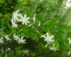 Ť���� Ť���ٵ��ٴ�Ӧ��