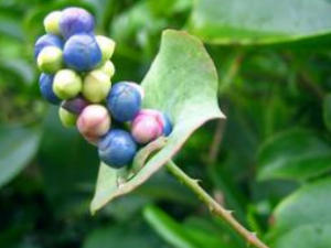 �ܰ�� �ܰ���ʹ�ý���