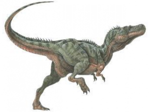 �����Ĺ�Ч������ �������÷�����