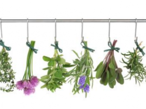 ��ҩ���Բ��ݺ��� ��ҩ����