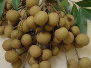 ʳ����������Щ���� ���۵�����