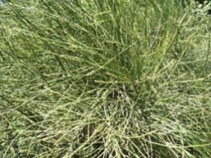 ��ƿ��ܲ����ĸ�����