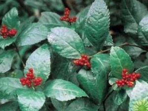 �׽ڷ� �׽ڷ���ٴ�Ӧ��