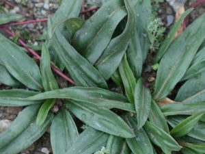 �����ö��ݵĹ�Ч������ �����ö��ݵ���ζ