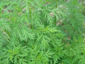 ����  ������ٴ�Ӧ��