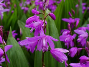 �׼� �׼����ٴ�Ӧ��