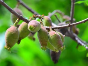 �Ͷ� �Ͷ�����ζ�龭