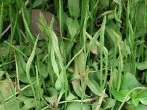 һ֧�� һ֧����ʹ�ý���