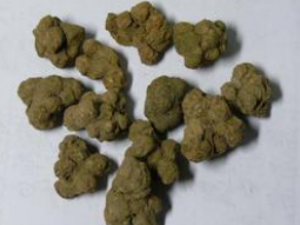 ������ �����޵���ζ�龭|���ط�|ҩЧ