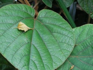 ��ٽ����Ĺ�Ч������ ��ٽ�������ζ