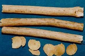 ��ľͨ ��ľͨ����ζ|�ٴ�Ӧ��|ҩ��