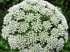 ����޻��