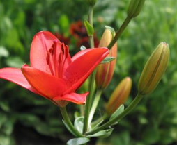 Ů�����ӵ���������� ��ҽ������δ�����������