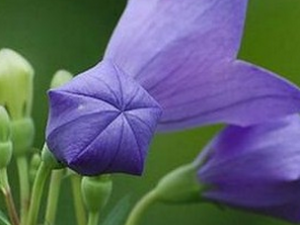 �۹�«ͷ�Ĺ�Ч������|��Դ|��������