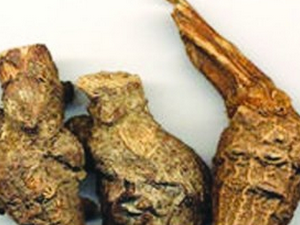 �ƴ��ڵĹ�Ч������|��ζ|�÷�����