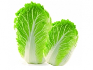 �ײ˵�Ӫ����ֵ����Ч������