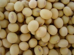 ���ش��е�Ӫ������