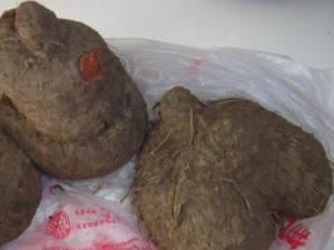 ��ҩ��ȫ ����