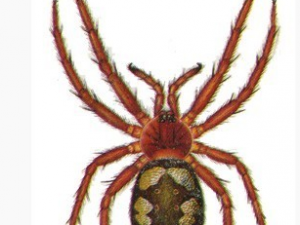 ��Ǯ�ļ�� ��Ǯ���÷�������