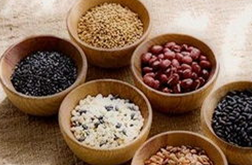 �����ﶳ ����Ӧ������Щ��λ