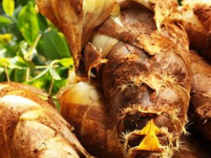 �Դ���Ҫ������  �����ʳ�ý���