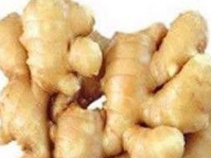 ��������������Щ��֢ ��ͺ������������