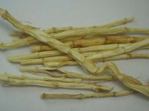 ��ҩ��ȫ ��é��