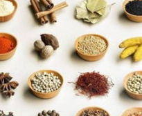 ��ҩ����  ������